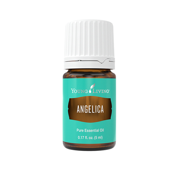 Angelica – Produktbild
