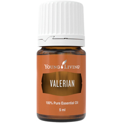 Baldrian (Valerian) – Produktbild