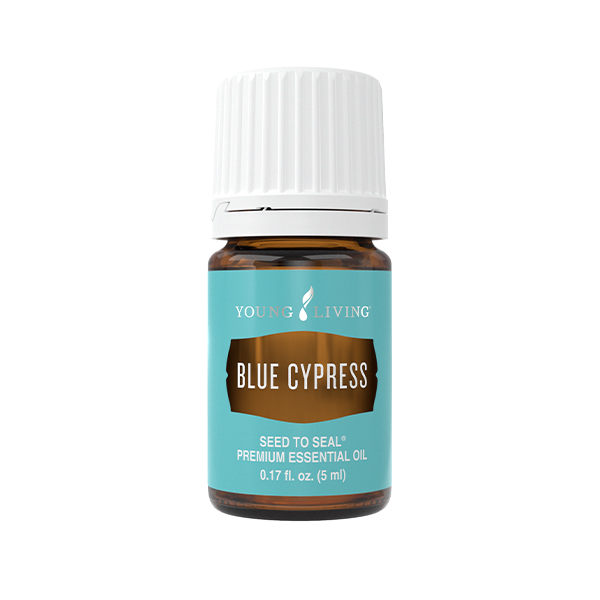 Blue Cypress – Produktbild