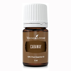 Caraway – Produktbild