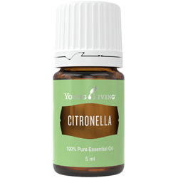 Citronella – Produktbild