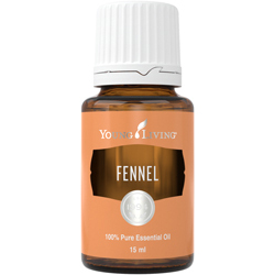 Fenchel (Fennel) – Produktbild