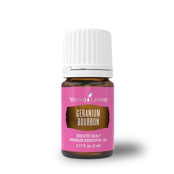 Geranium Bourbon – Produktbild