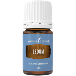 Ledum – Produktbild