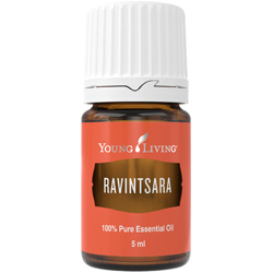 Ravintsara – Produktbild