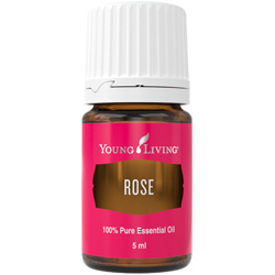 Rose – Produktbild