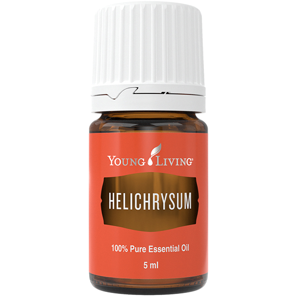 Strohblume (Helichrysum) – Produktbild